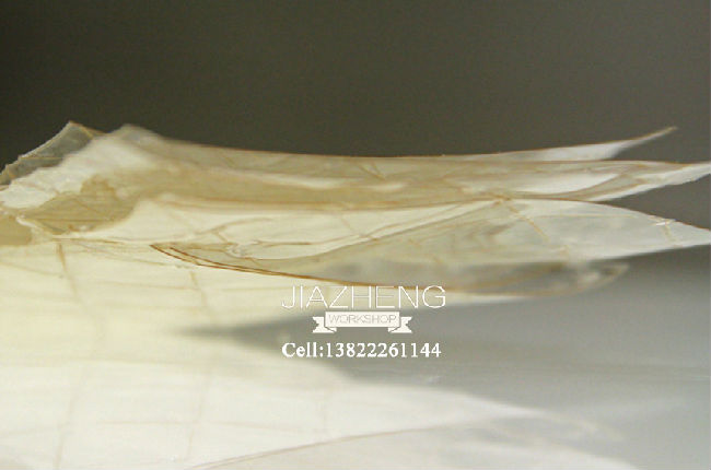 廣州甜品培訓-吉利丁小知識