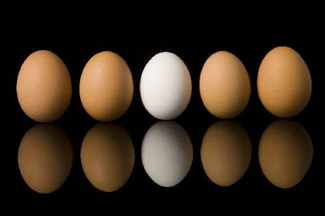 雞蛋在烘培中的作用有多大？一起了解一下